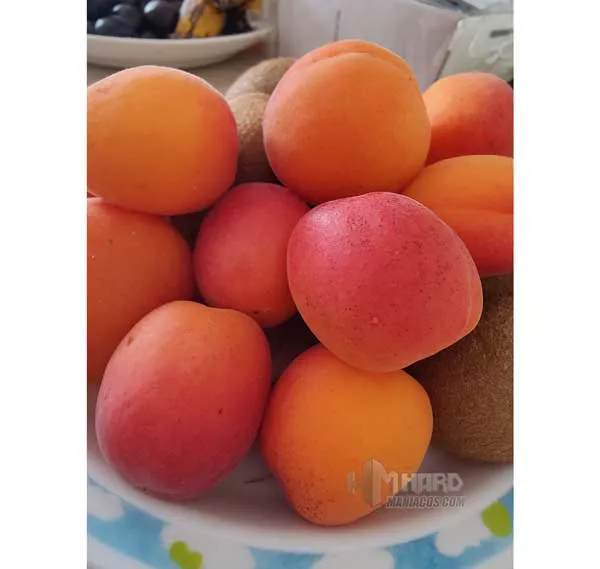 macro y colores frutas OnePlus 9