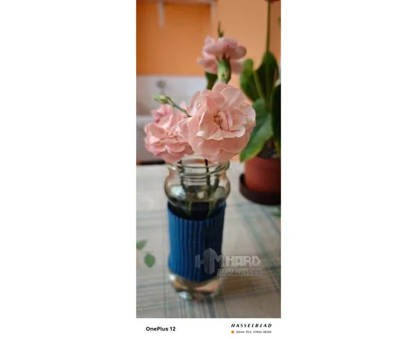 Foto flores modo Maestro camara OnePlus 12